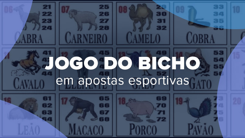 Jogo do Bicho: Uma Tradicional Modalidade de Aposta Brasileira