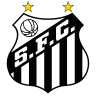 Santos brasil copa libertadores