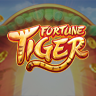 fortune tiger slot